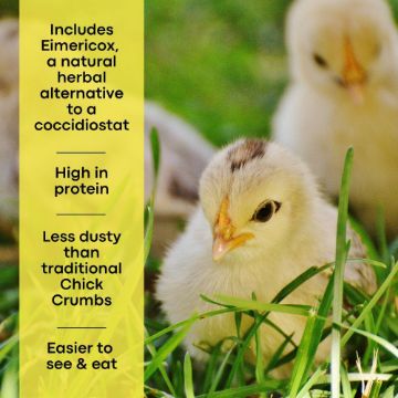 Copdock Mill Starter Micros (Chick Crumbs)