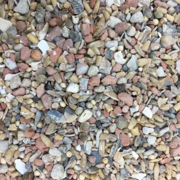 Bamfords Top Flight Pigeon Gem Matrix 5kg Tub