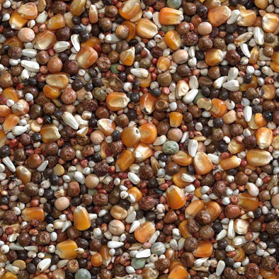Bucktons Irish Mix 20kg - Free P&P