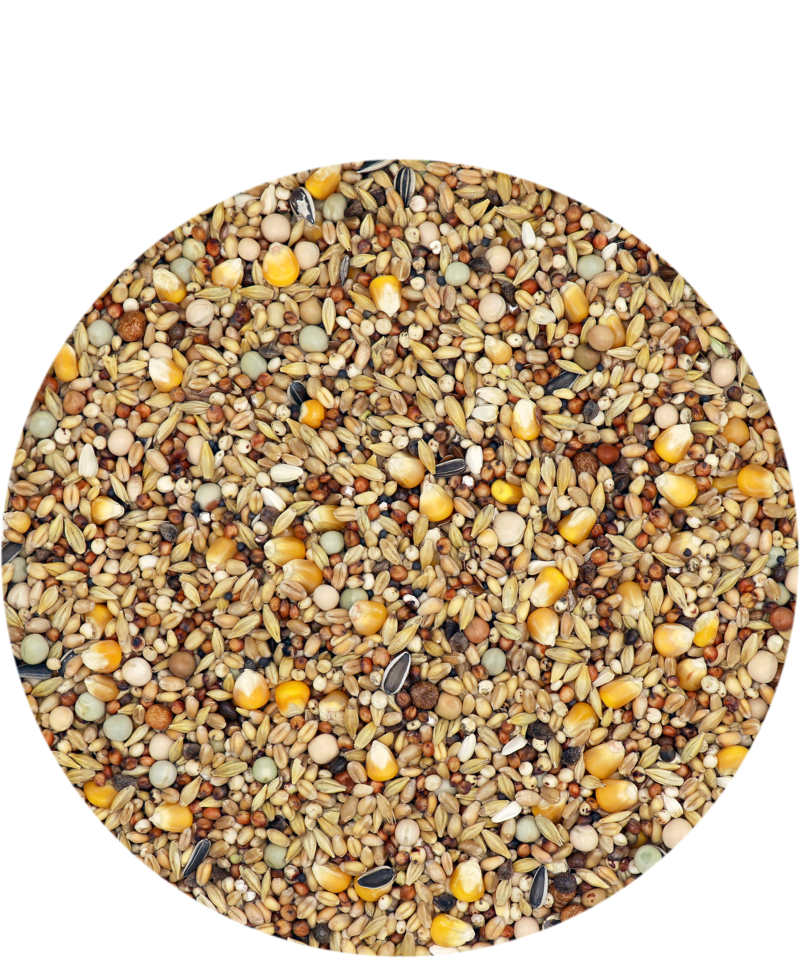 Versele-Laga Mariman Standard Moulting 25kg - Free P&P