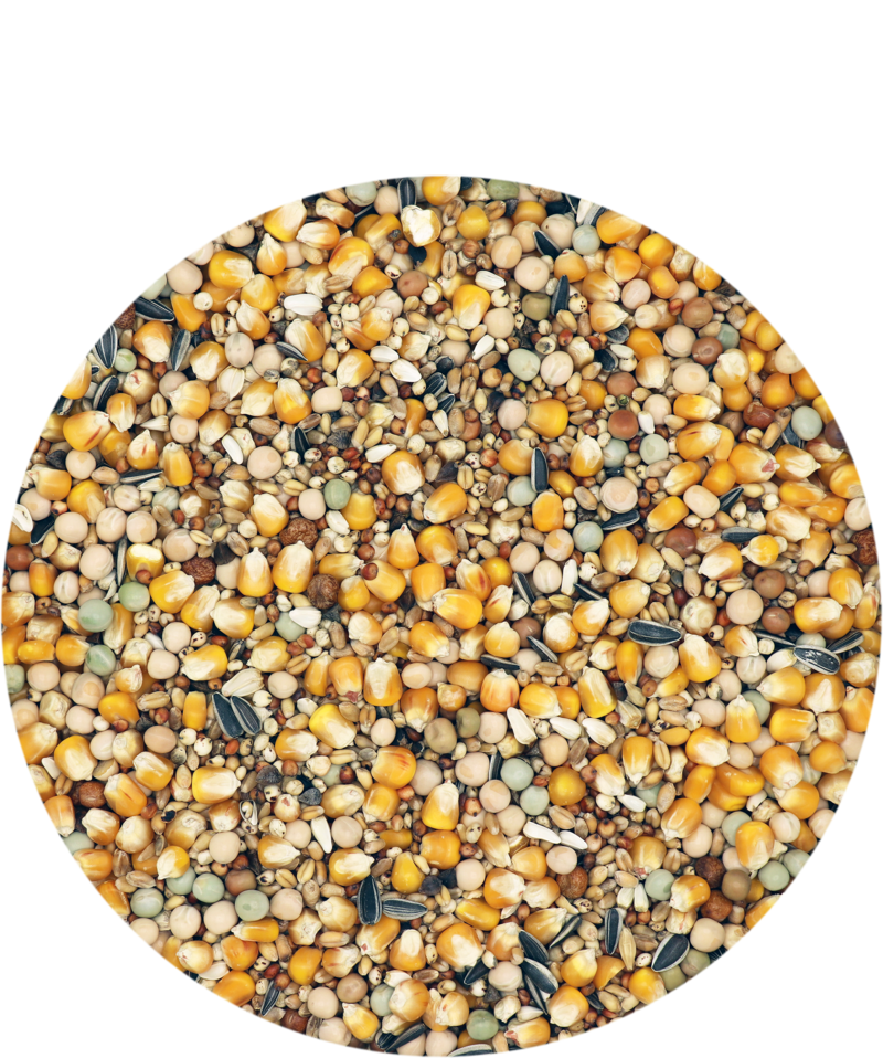 Versele-Laga Mariman Standard Breeding & Racing without Barley 25kg - Free P&P