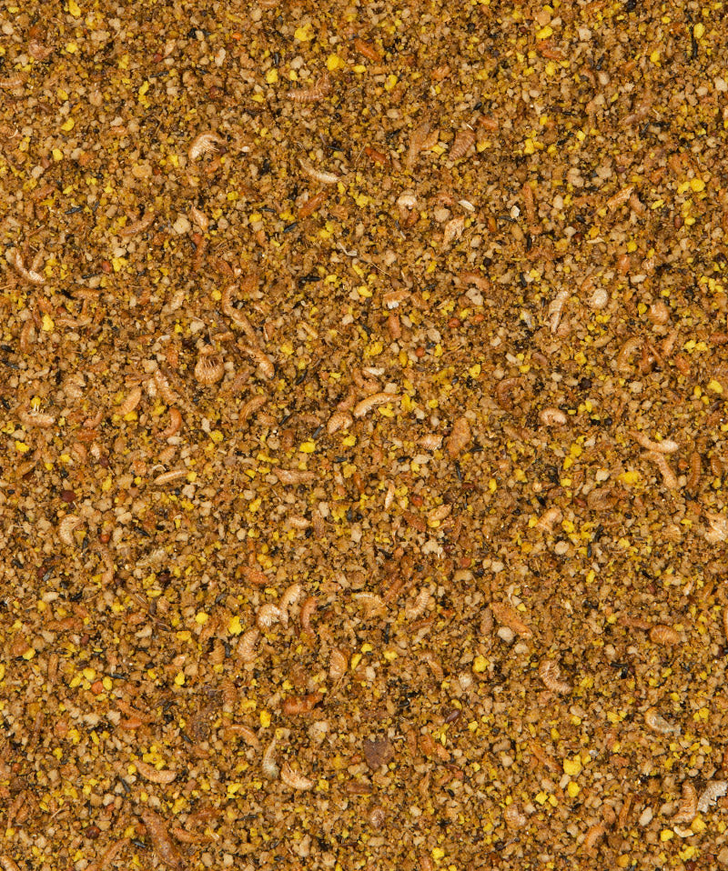 Versele-Laga Orlux Gold Patee European Finches 5kg