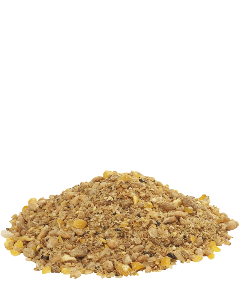 Versele Laga Countrys Best Gold 4 Red Mash 20kg - Free P&P