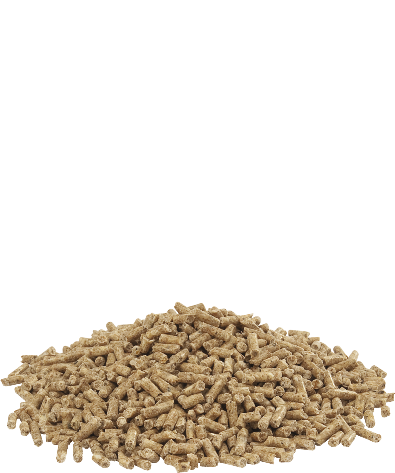 Versele-Laga Show 4 Pellets 20kg - Free P&P