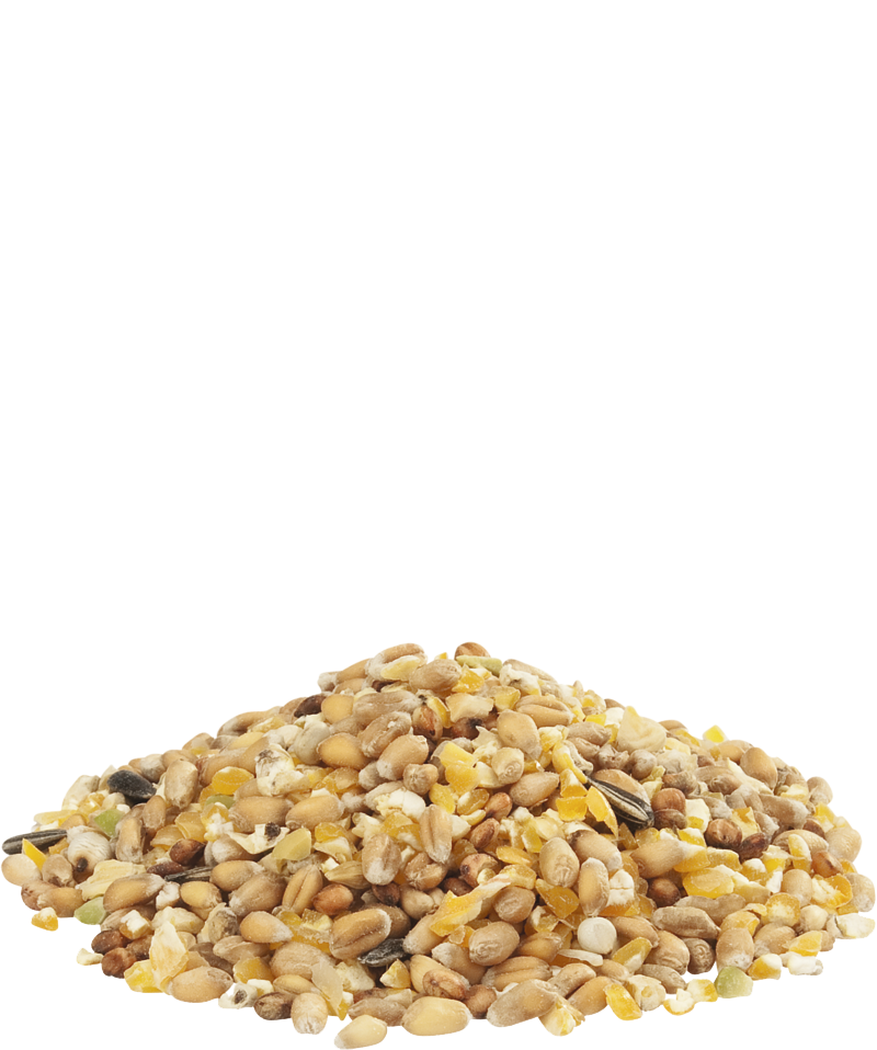 Versele-Laga Countrys Best Gra-Mixture Ardennes 20kg - Free P&P