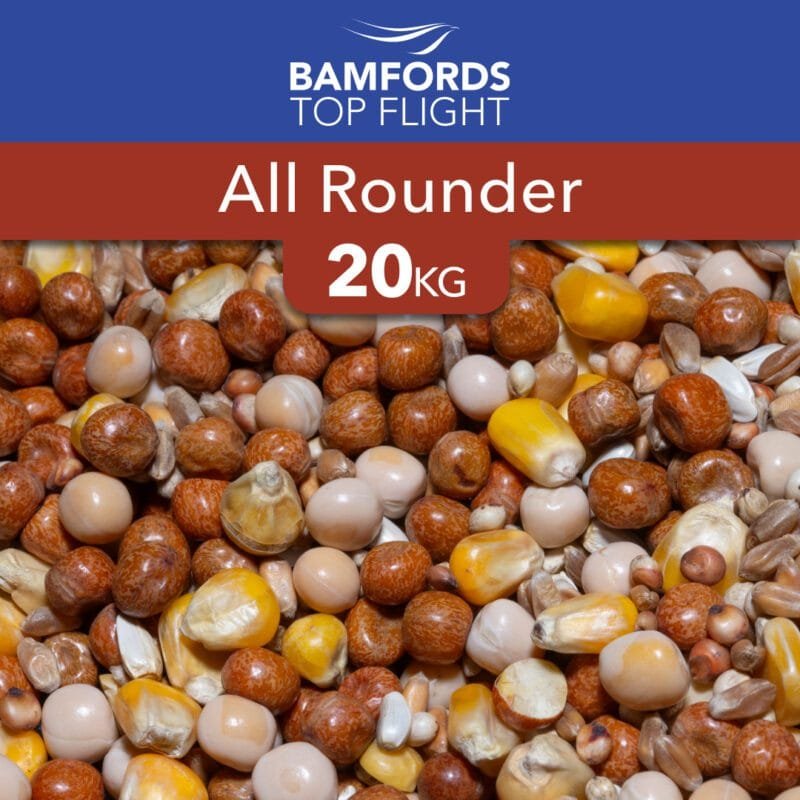 Bamfords Top Flight All Rounder Pigeon Food 20kg - Free P&P