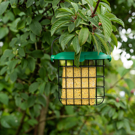 Gardman Flip Top Suet Feast Feeder