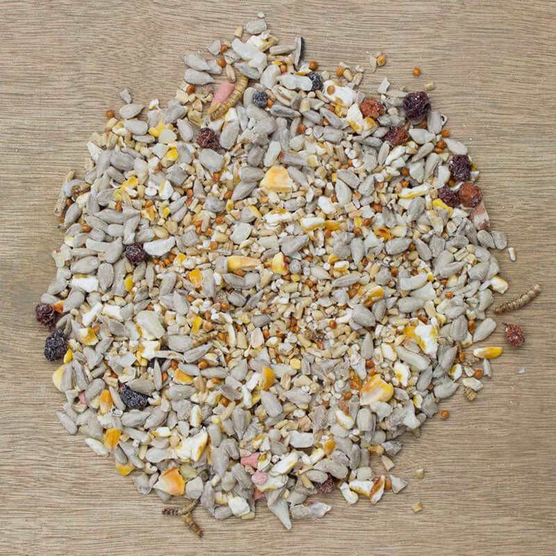 Extra Select Robin & Songbird Mix 12.75kg - FREE P&P