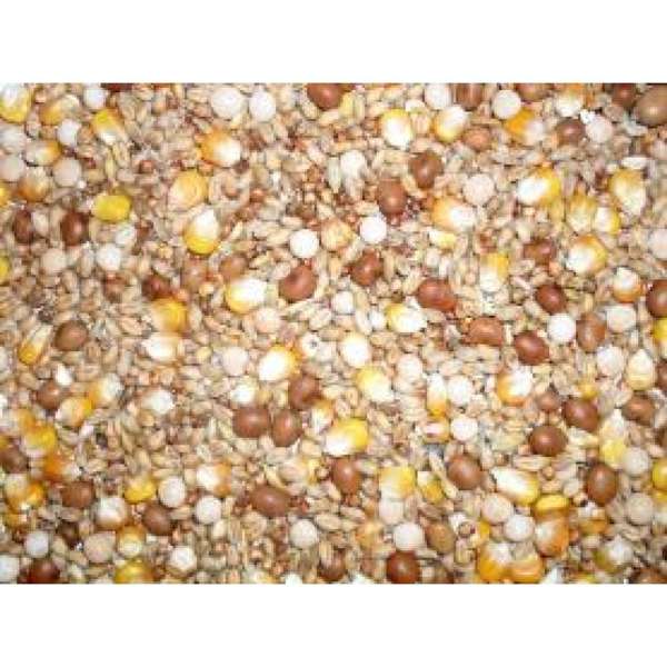 Johnston & Jeff Four Seasons Pigeon Corn 20kg - Free P&P