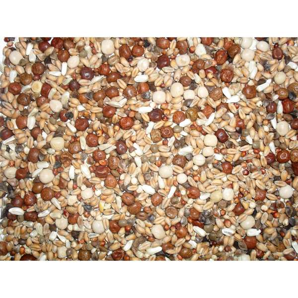 Johnston & Jeff Squeaker Pigeon Corn 20kg