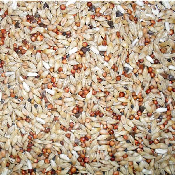 Johnston & Jeff Euro Depurative Pigeon Mix 20kg