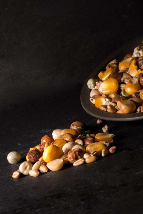 Titmuss Belgium Economy Mix 25kg