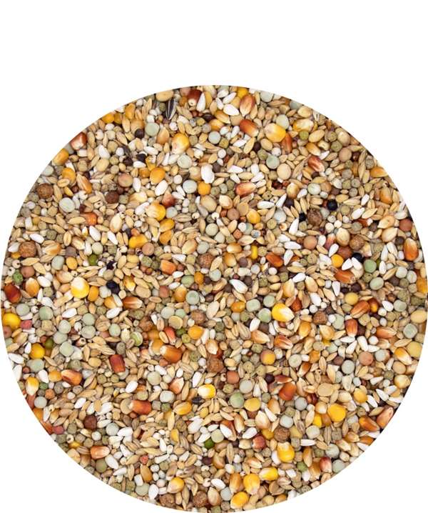 Versele Laga Junior Plus I C 20kg