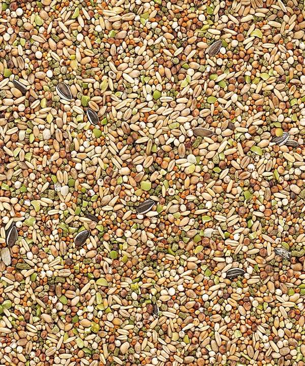 Versele Laga Countrys Best Snack Garden Mixture Chicken Treat 1kg
