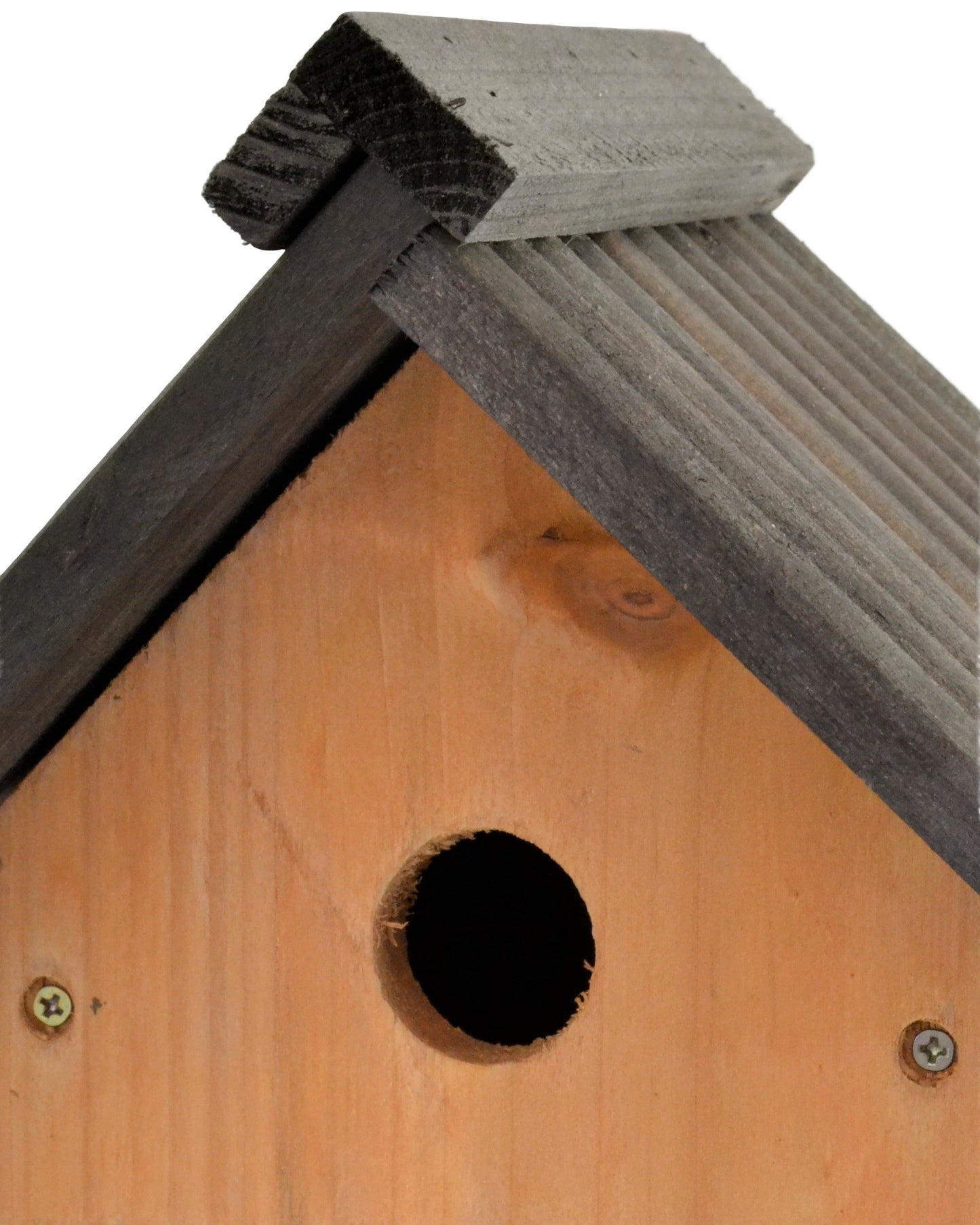Supa Multi-Purpose Wild Bird Nest Box