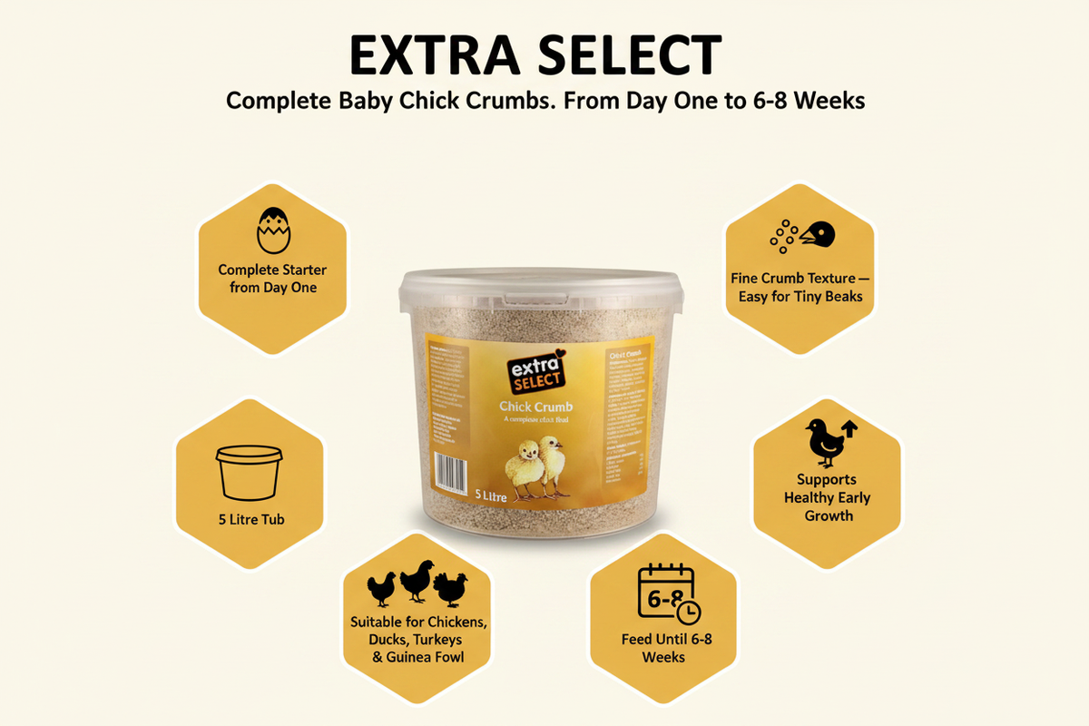 Extra Select Baby Chick Crumbs Infographic
