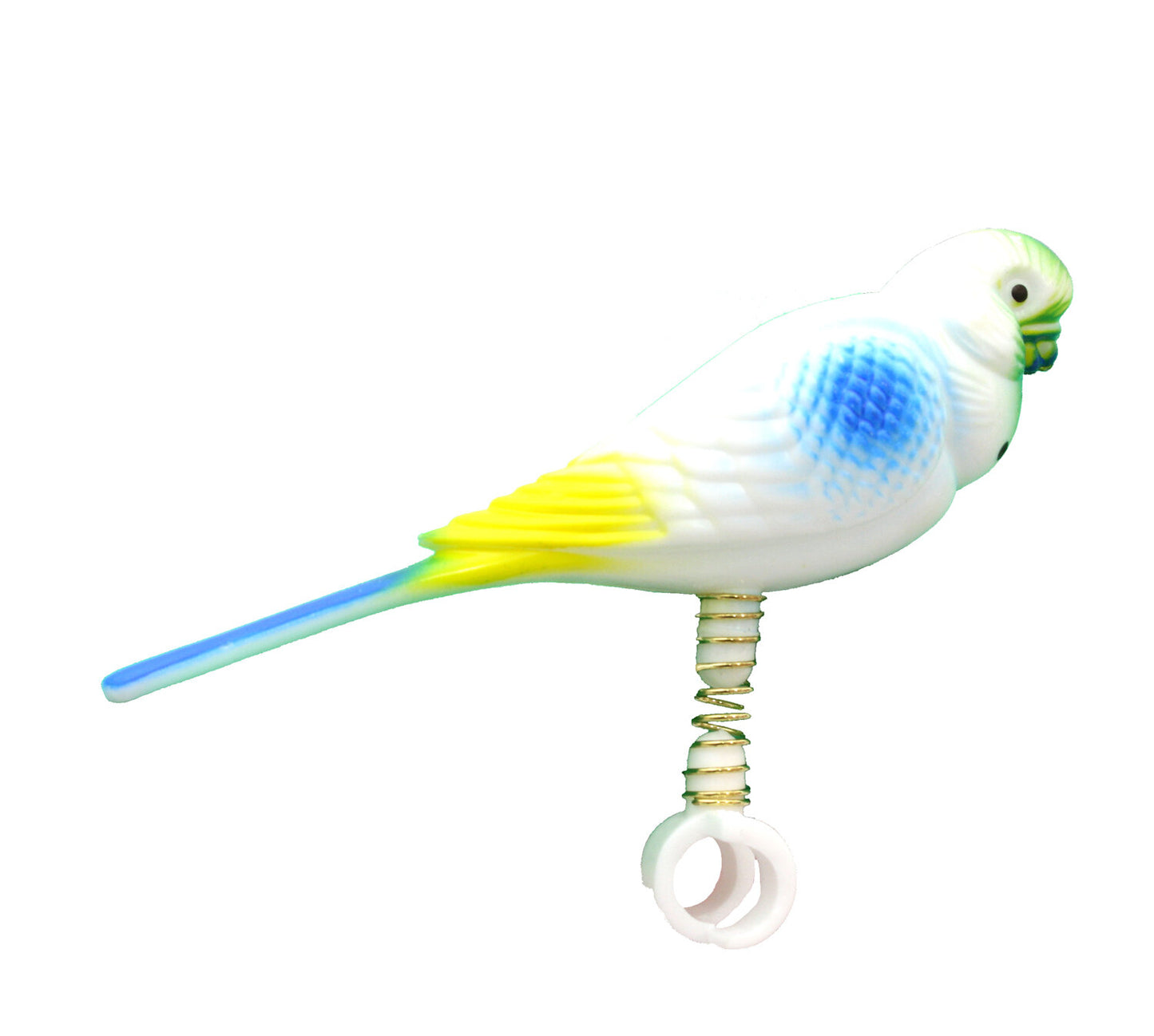 Beaks Parakeet on Spring
