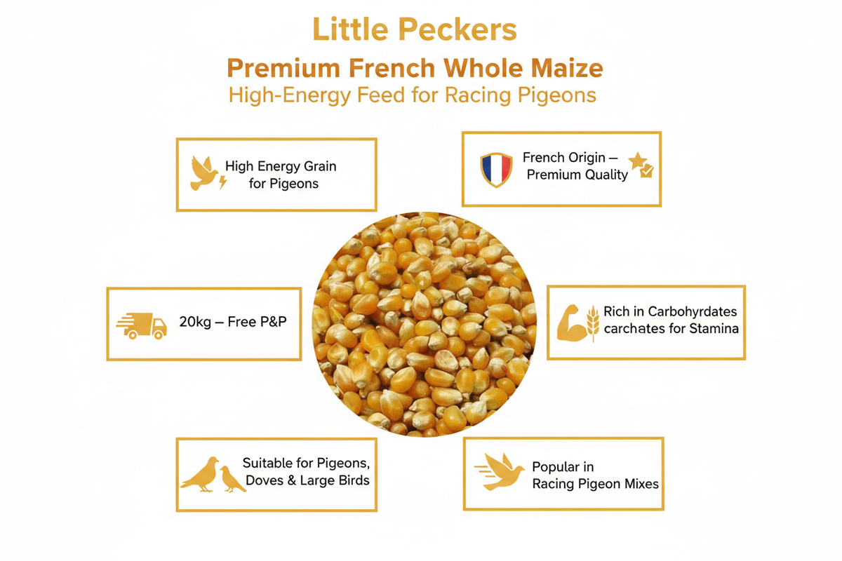 French Whole Maize 20kg Infographic
