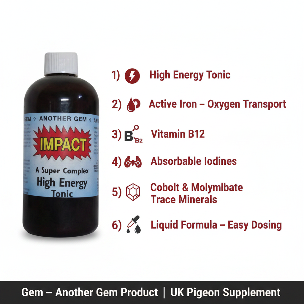 Gem Impact 250ml Infographic