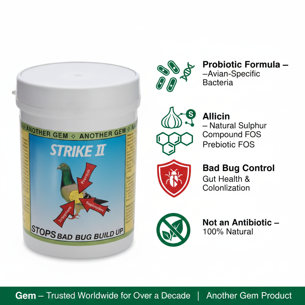Gem Strike II 100g Infographic