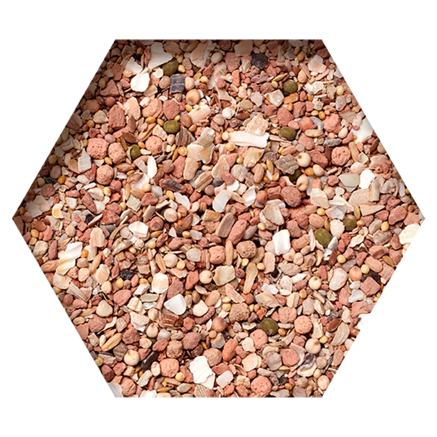 Beyers Multi Mineral Mix 20kg