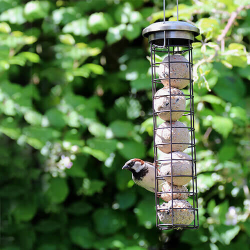 Henry Bell Heritage Collection Fat Ball Feeder