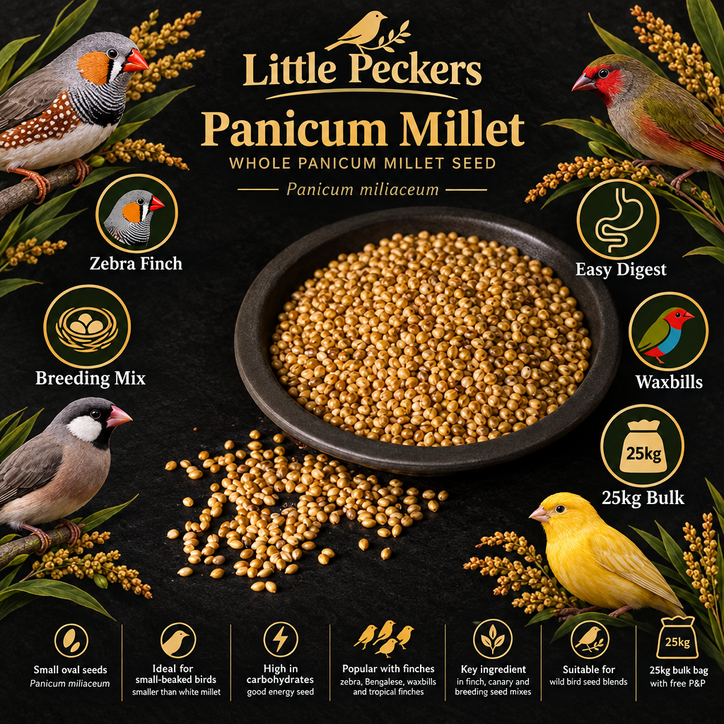 Little Peckers Panicum Millet 25kg Infographic