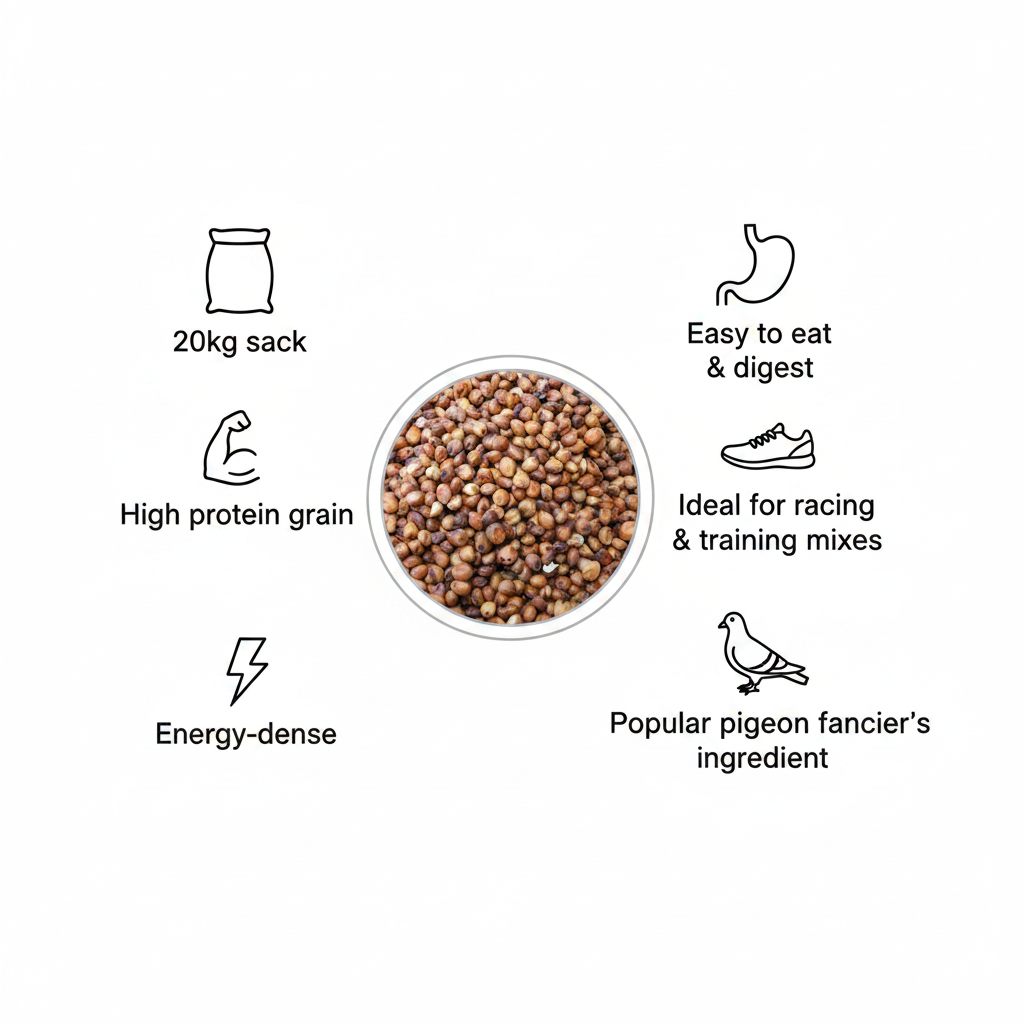 Red Dari 20kg Infographic