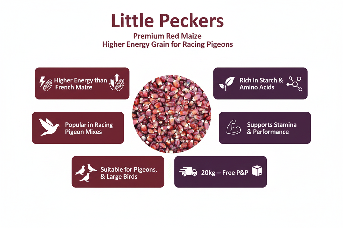 Red Maize 20kg Infographic