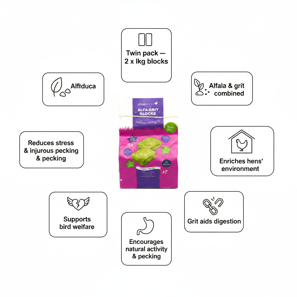 Silvermoor Alfa-Grit Blocks