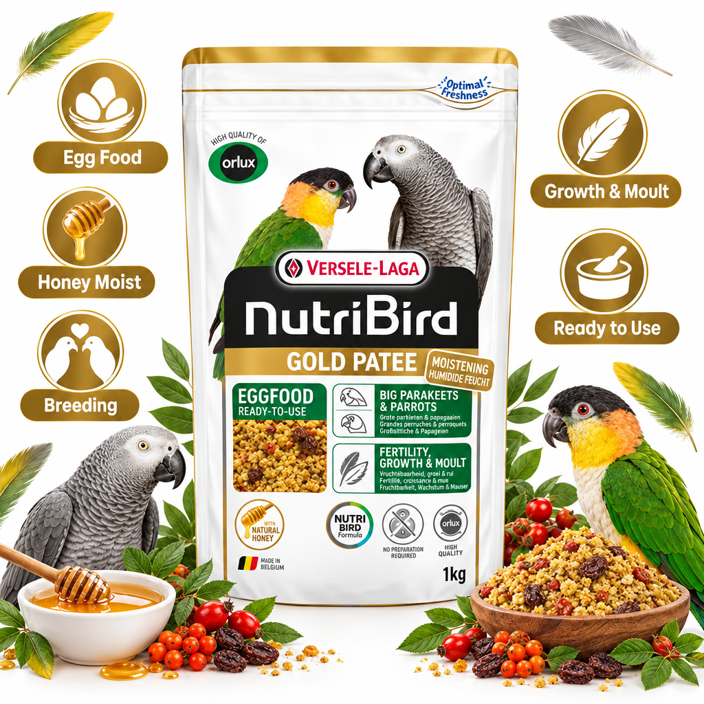 Versele-Laga NutriBird Gold Patee Big Parakeets & Parrots Infographic