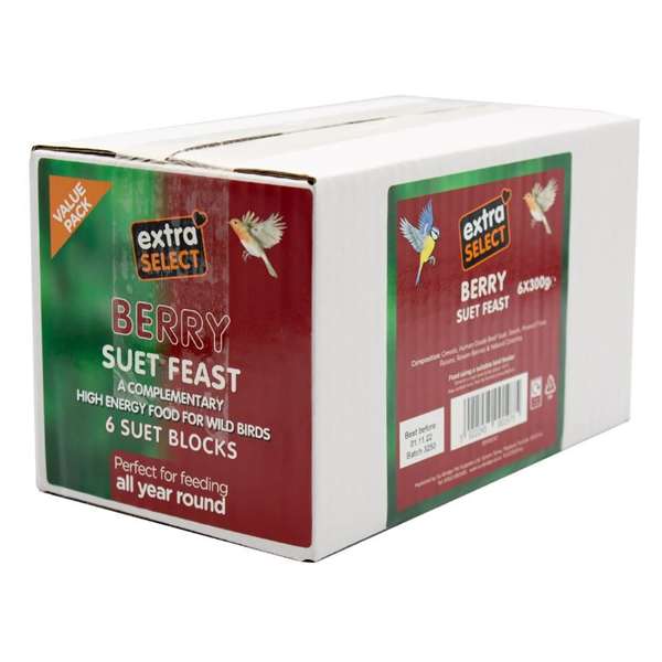 Extra Select Berry Suet Blocks
