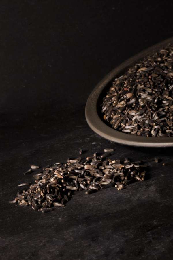 Little Peckers Nyjer Bird Seed 25kg - FREE* P&P