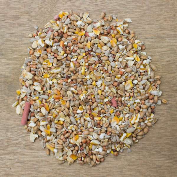 Extra Select No Grow Wild Bird Food 12.75kg