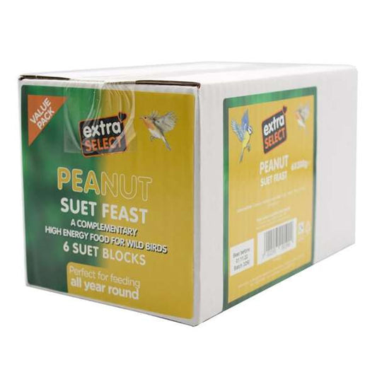 Extra Select Peanut Suet Blocks 300g