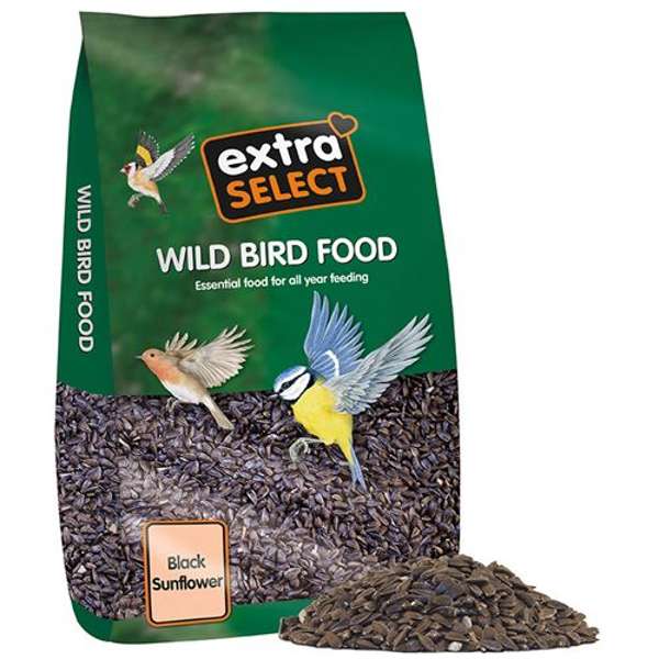 Extra Select Wild Bird Food Black Sunflower