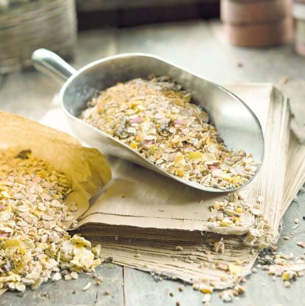 Aluminium Food Scoop