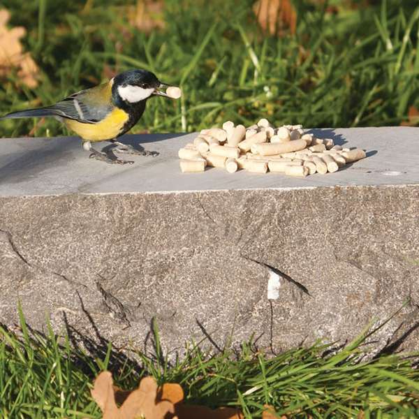 Suet To Go Super Premium Suet Pellets Insect