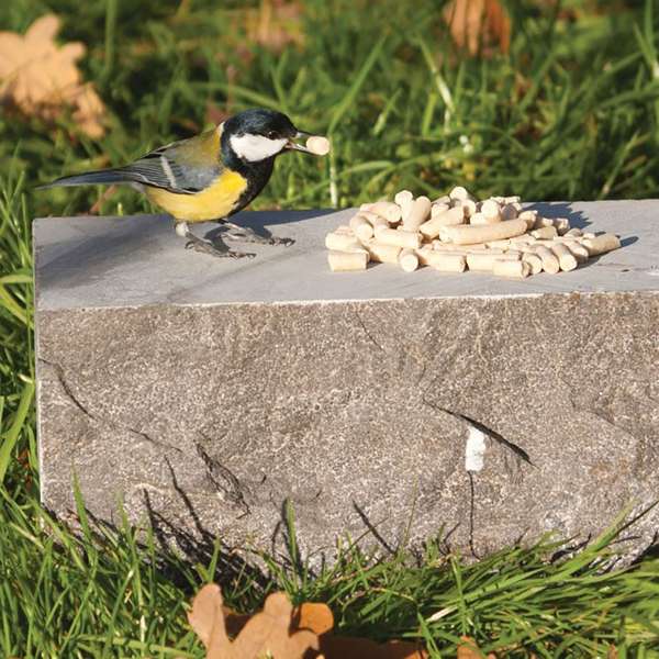 Suet To Go Super Premium Suet Pellets Mealworm