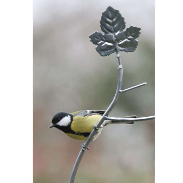 Henry Bell Sterling 3-In-1 Squirrel Proof Feeder