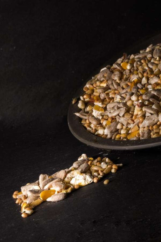 Little Peckers No Waste Wild Bird Seed Mixture 20kg - FREE P&P