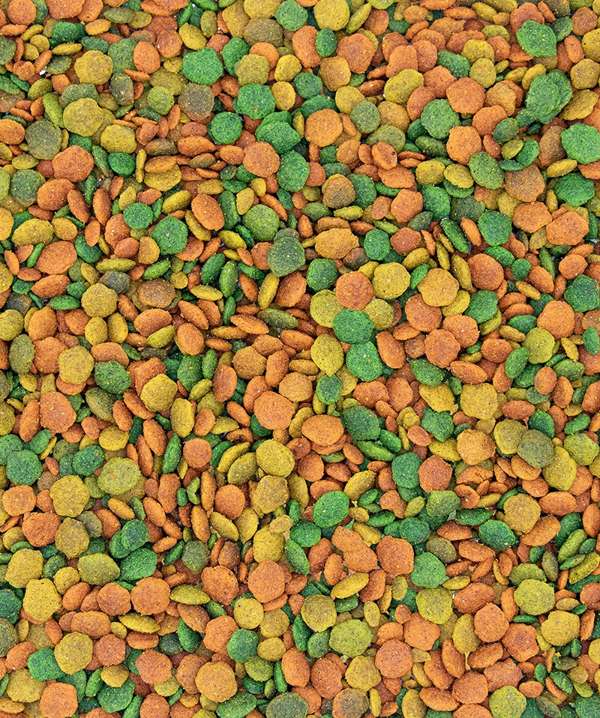 Versele Laga Nutribird G14 Tropical 10kg