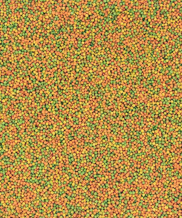 Versele Laga Nutribird B18 10kg