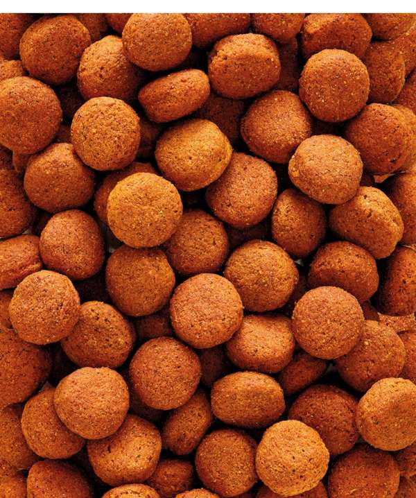 Versele Laga Nutribird H16 10kg - Free P&P - ALLOW 14-21 DAYS FOR DELIVERY