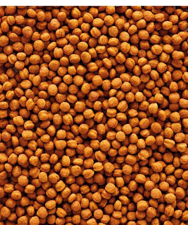 Versele Laga Nutribird T16 10kg