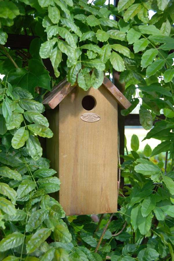 Fallen Fruits Great Tit Nest Box/copper Roof FSC® 100% NK04