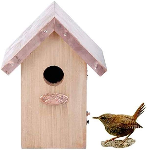 Fallen Fruits Wren Box