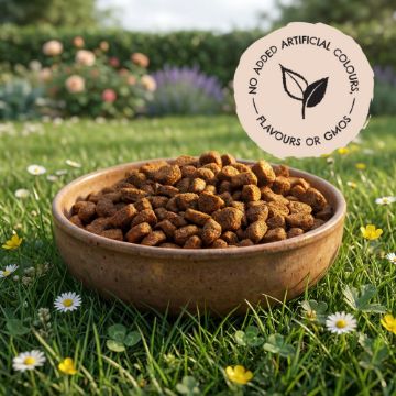 Wild Nibbles Hedgehog 2kg