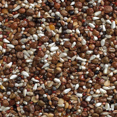 Bucktons VIP Pigeon Food 20kg - Free P&P