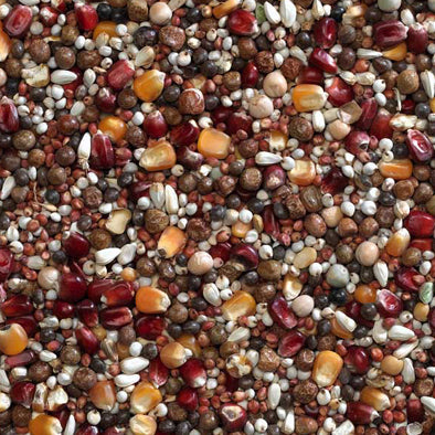 Bucktons Irish Ruby 20kg - Free P&P